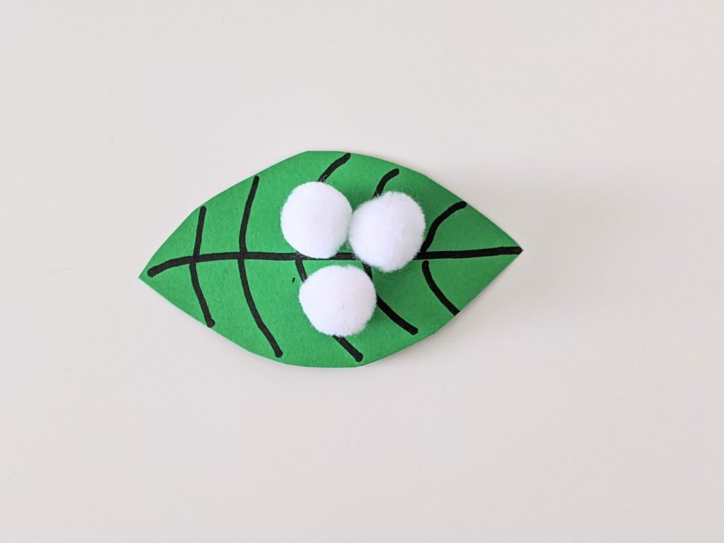 butterfly life cycle paper plate spring craft for kids