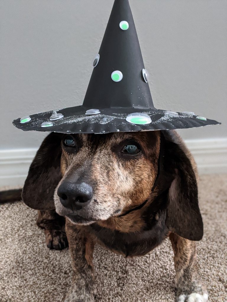 Halloween crafts and costumes, simple and easy Halloween craft including a witch hat