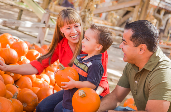 fall bucket list for families